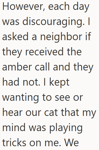 However, each day was discouraging. I asked a neighbor if they received the amber call and they had not. I kept wanting to see or hear our cat that my mind was playing tricks on me. We