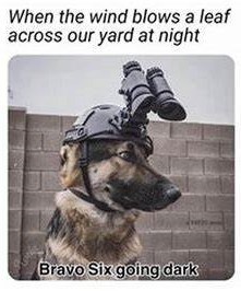 When the wind blows a leaf across our yard at night Bravo Six going dark