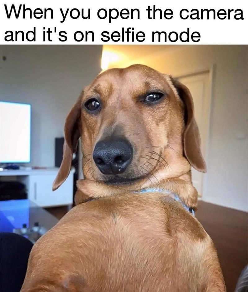 When you open the camera and it's on selfie mode