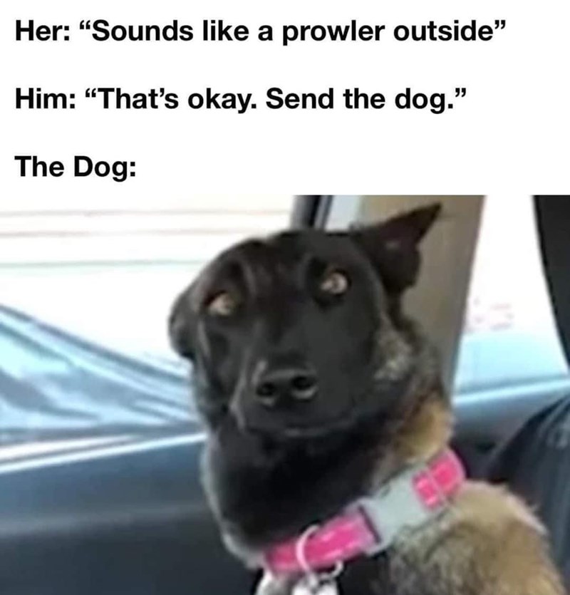 Her: "Sounds like a prowler outside" Him: "That's okay. Send the dog." The Dog: