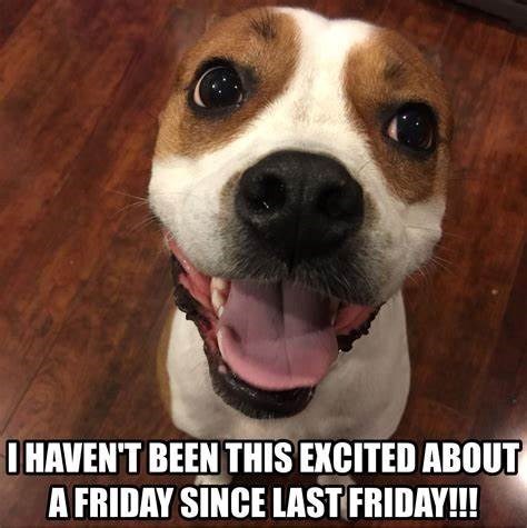 I HAVEN'T BEEN THIS EXCITED ABOUT A FRIDAY SINCE LAST FRIDAY!!!