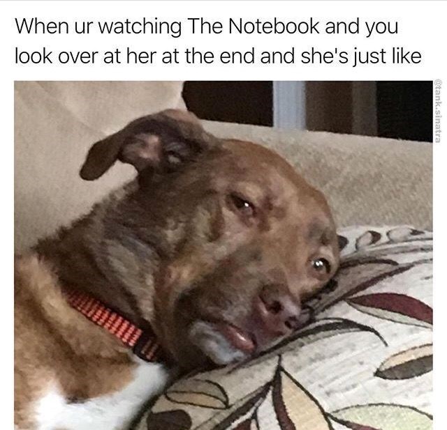 When ur watching The Notebook and you look over at her at the end and she's just like @tank.sinatra www