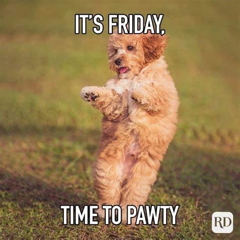 IT'S FRIDAY, TIME TO PAWTY RD