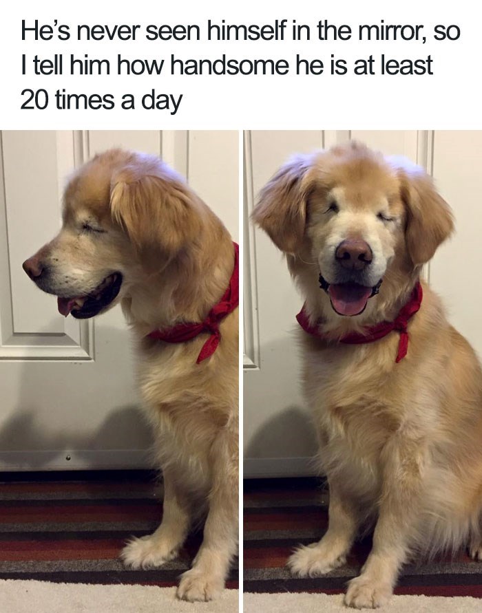 He's never seen himself in the mirror, so I tell him how handsome he is at least 20 times a day