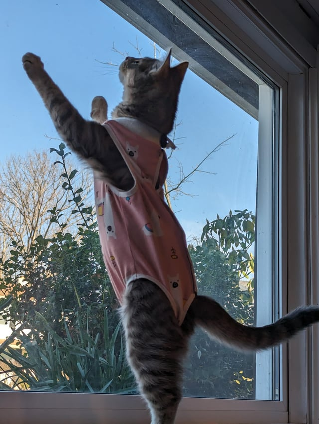 Cheezburger Image 10613020416