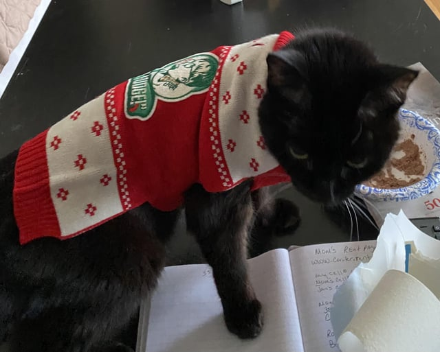 # OGE!" Mom's Rent Pay www.canter.rent my cello Mon's Cell Jan's 102 50 38 28