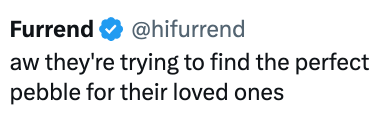 Furrend @hifurrend aw they're trying to find the perfect pebble for their loved ones