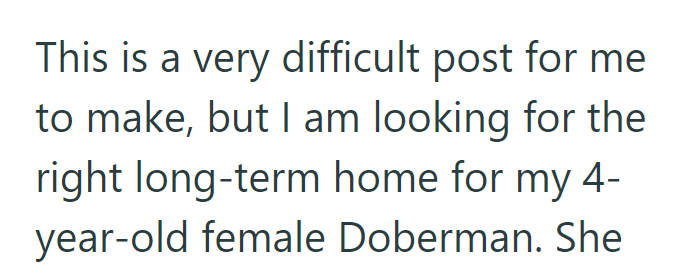 This is a very difficult post for me to make, but I am looking for the right long-term home for my 4- year-old female Doberman. She