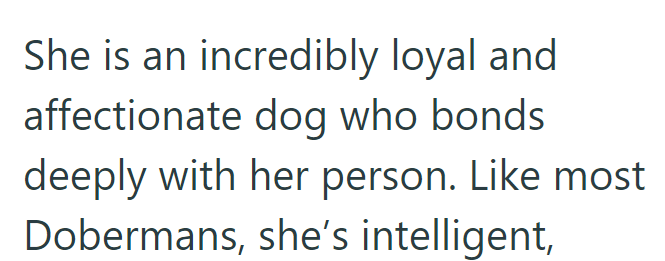 She is an incredibly loyal and affectionate dog who bonds deeply with her person. Like most Dobermans, she's intelligent,