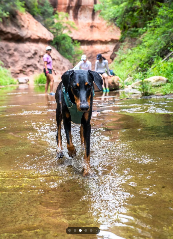 Cheezburger Image 10613030912