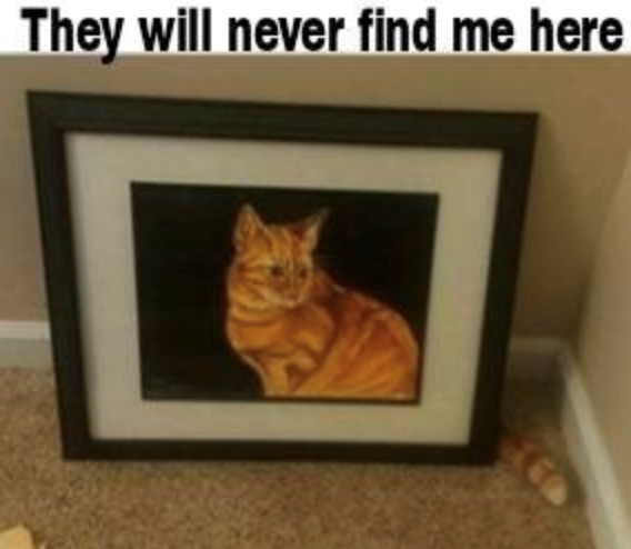 They will never find me here