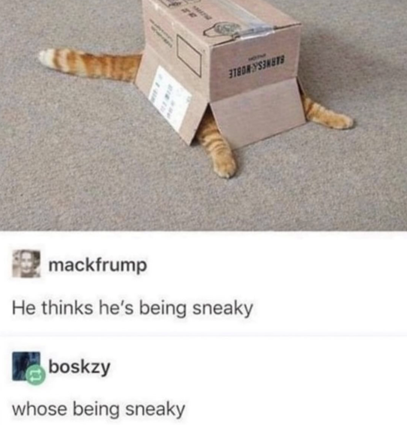 mackfrump He thinks he's being sneaky boskzy whose being sneaky ЭТВОМ УЅЗИНТВ