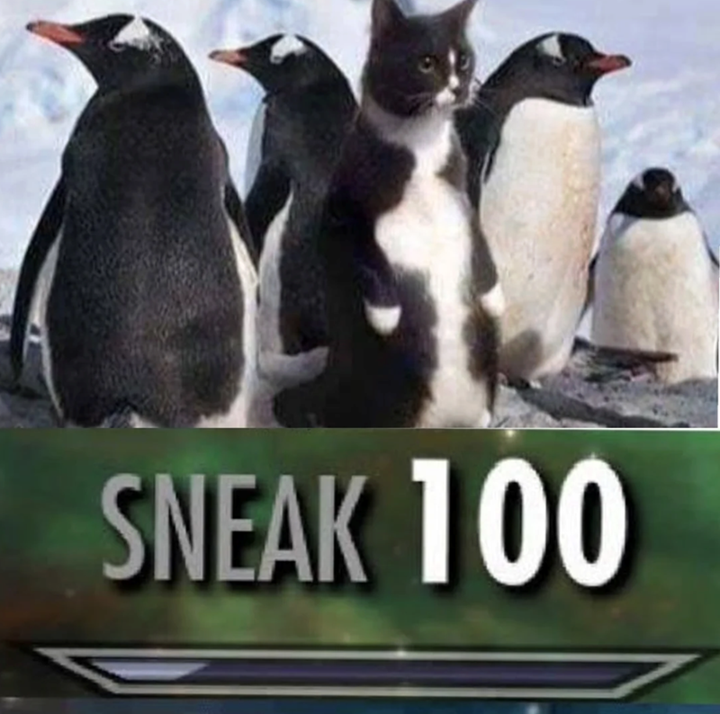 SNEAK 100
