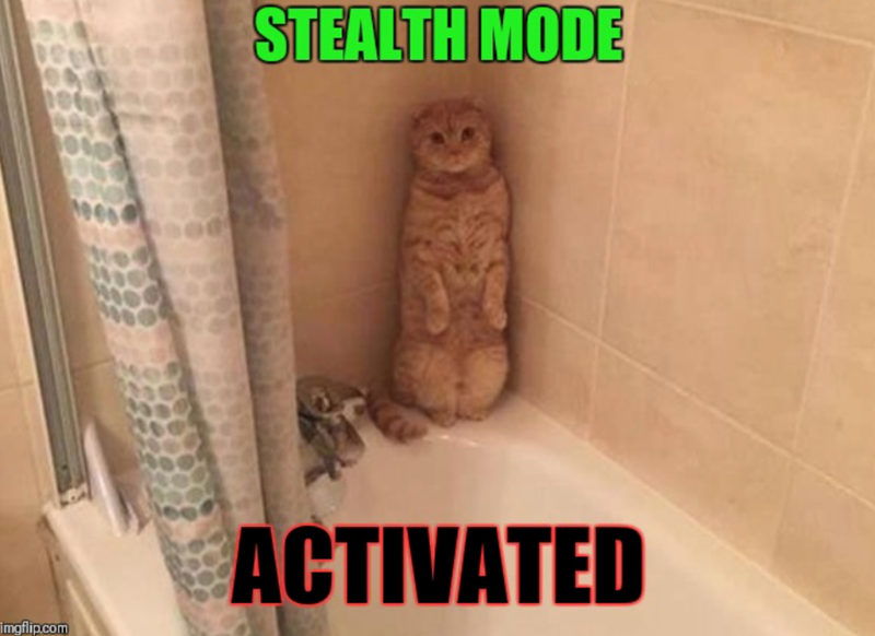 imgflip.com STEALTH MODE ACTIVATED