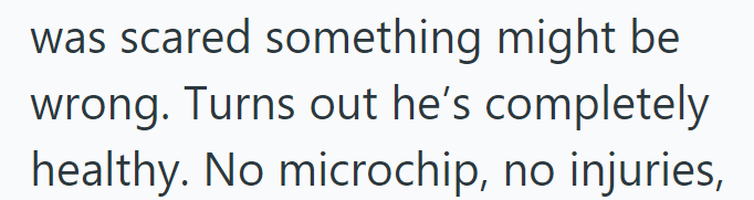 was scared something might be wrong. Turns out he's completely healthy. No microchip, no injuries,