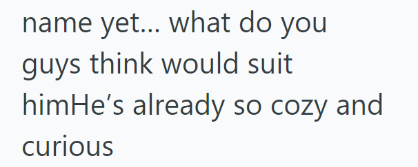 name yet... what do you guys think would suit himHe's already so cozy and curious