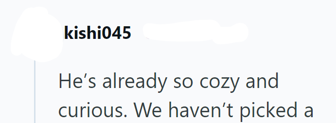 kishi045 He's already so cozy and curious. We haven't picked a