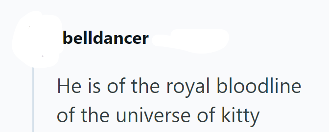 belldancer He is of the royal bloodline of the universe of kitty