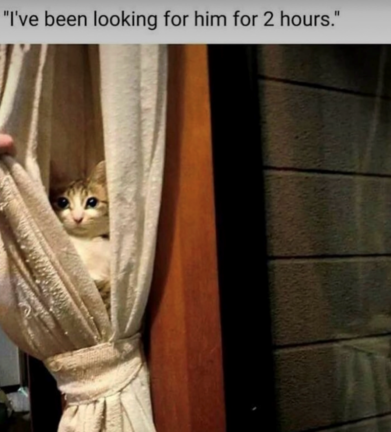 "I've been looking for him for 2 hours."