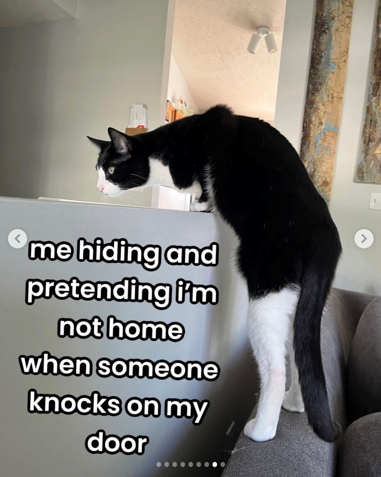 L me hiding and pretending i'm not home when someone knocks on my door >