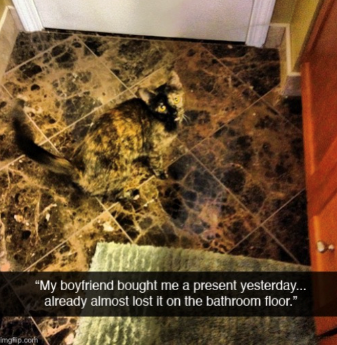 imgflip.com "My boyfriend bought me a present yesterday... already almost lost it on the bathroom floor."