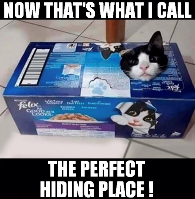 NOW THAT'S WHAT I CALL felix Goob LOOKS 53 TENORES THE PERFECT HIDING PLACE!