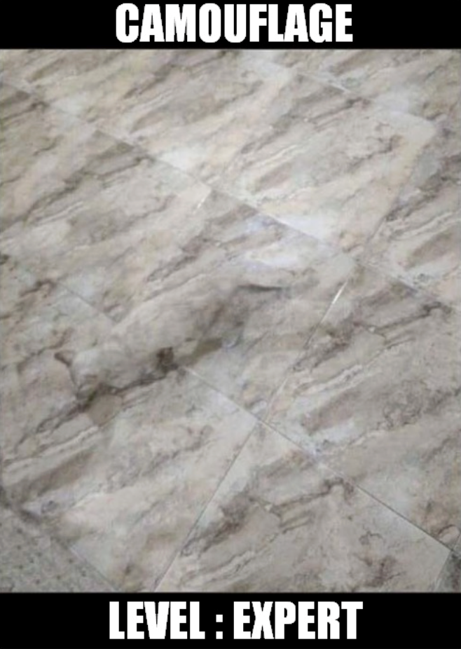 CAMOUFLAGE LEVEL: EXPERT