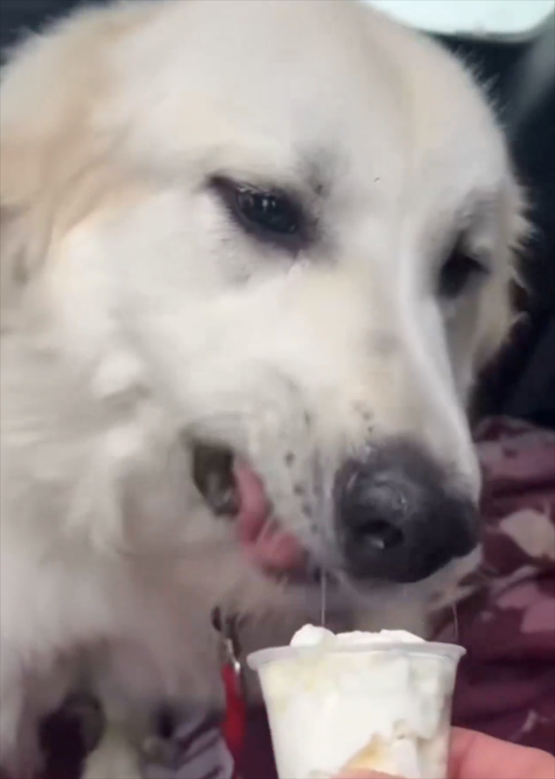 Cheezburger Image 10613054976