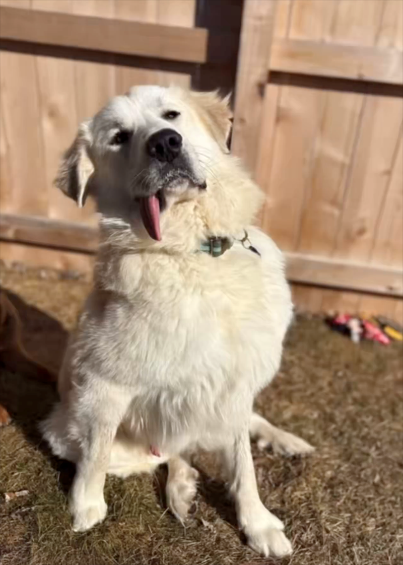 Cheezburger Image 10613056000