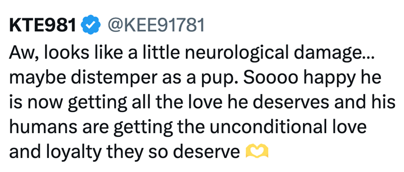 KTE981 @KEE91781 Aw, looks like a little neurological damage... maybe distemper as a pup. Soooo happy he is now getting all the love he deserves and his humans are getting the unconditional love and loyalty they so deserve