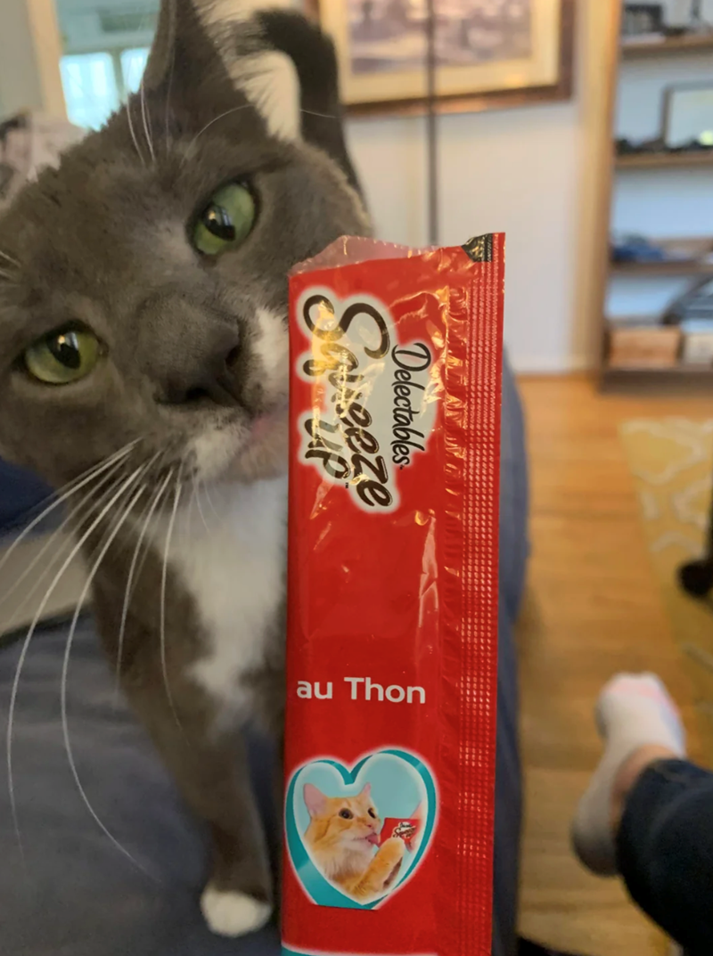 9 Delectables Soveeze au Thon