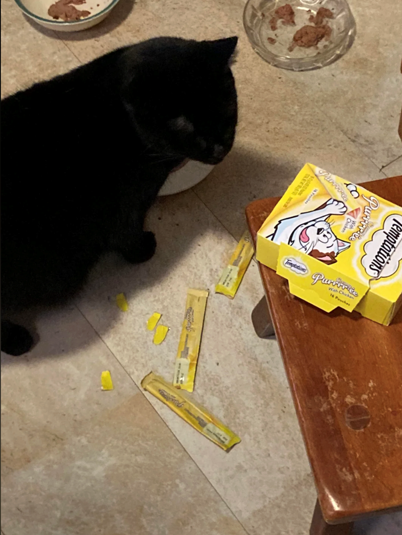 Puovive Temptations Temptations Purvine With Chicken 16 Pouches