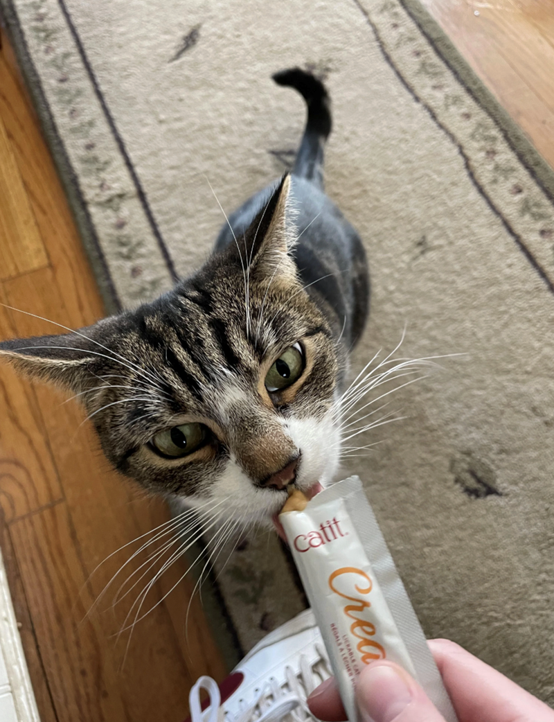 catit Crea LIERABLE CA REGALS A LECHER PO