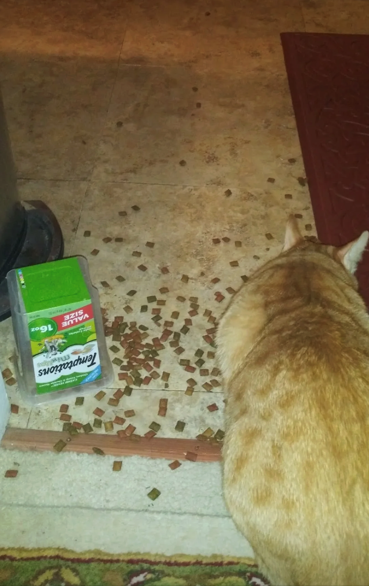 Temptations mixlips VALUE SIZE 16oz