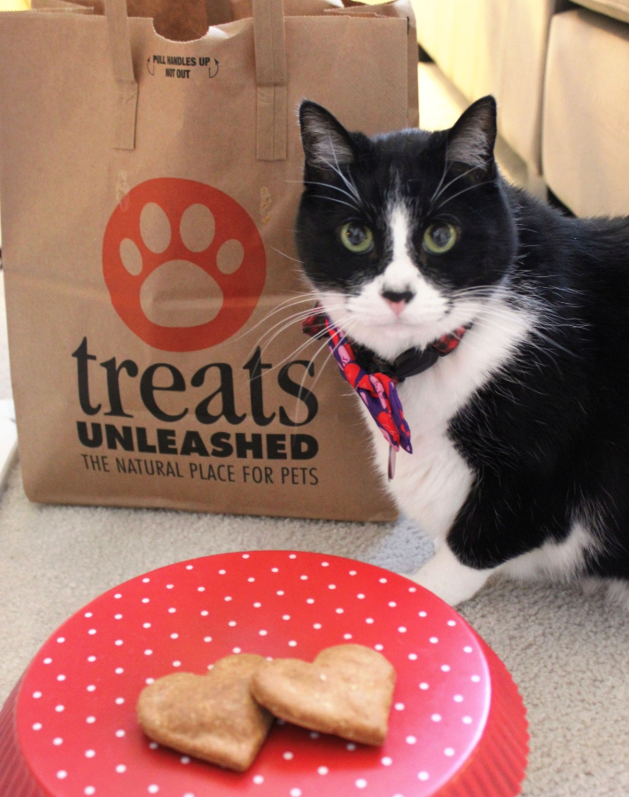 PULL HANDLES UP NOT OUT treats UNLEASHED THE NATURAL PLACE FOR PETS