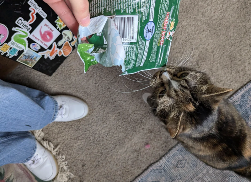 Mother I crave Crime god is dead its wore time babey Milf Hunter ROLLA