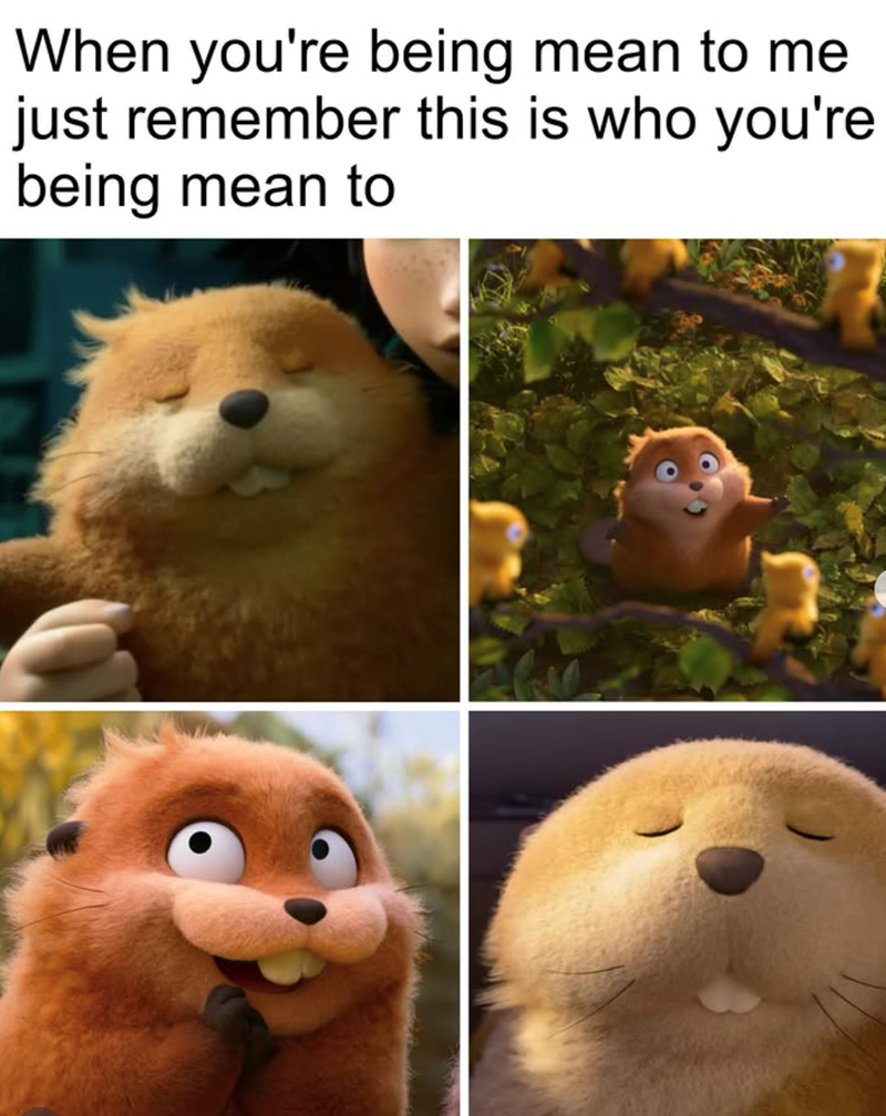 When you're being mean to me just remember this is who you're being mean to