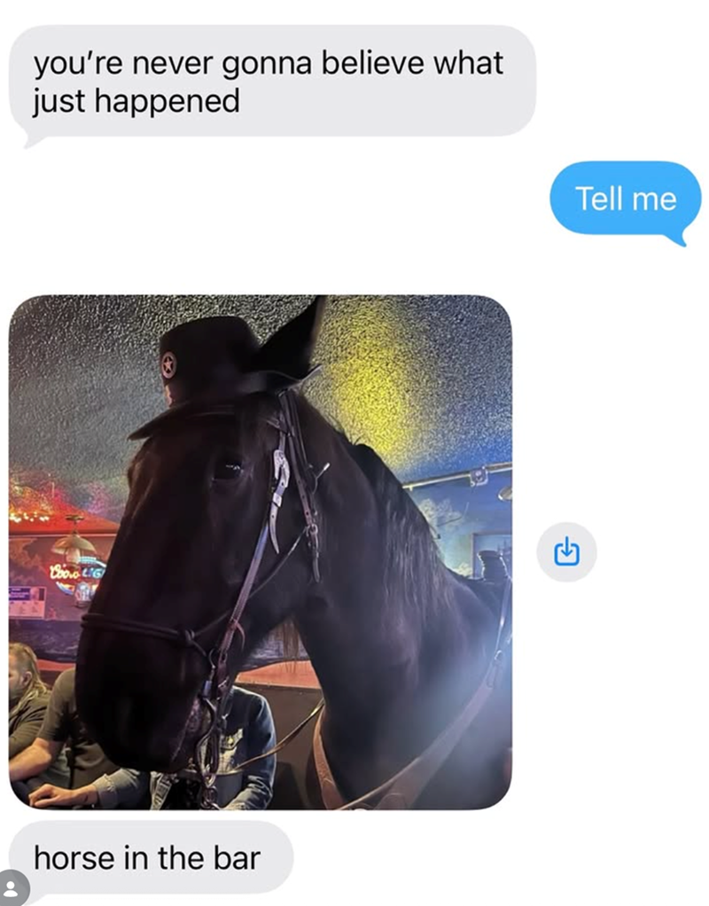 you're never gonna believe what just happened Cooo LIG horse in the bar Tell me