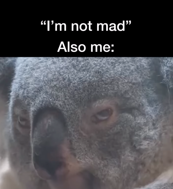 "I'm not mad" Also me: