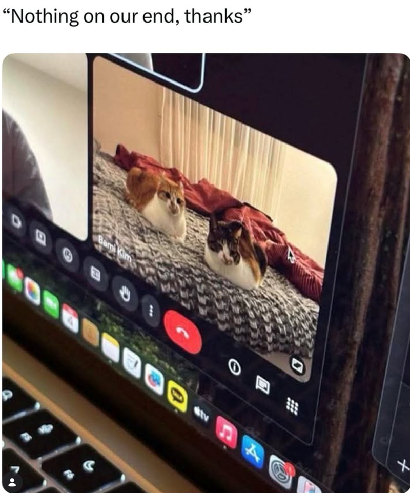 "Nothing on our end, thanks" Bami Kim tv 44 X