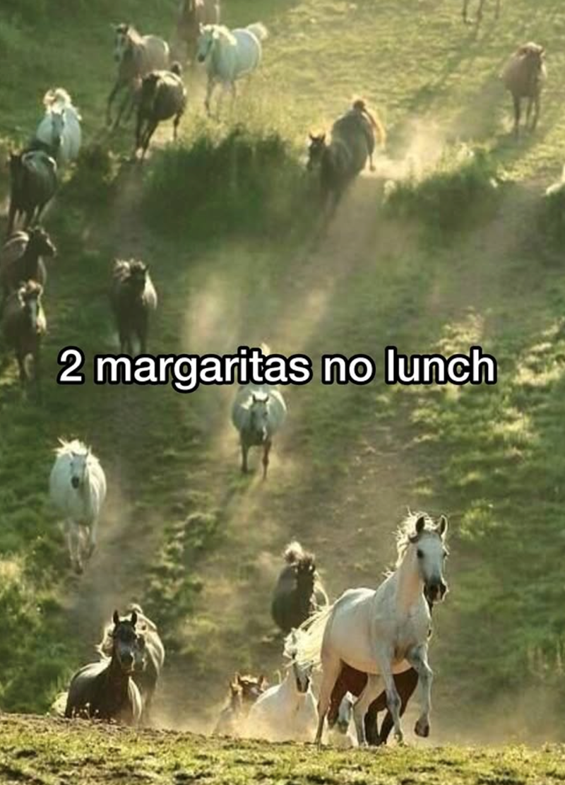 2 margaritas no lunch