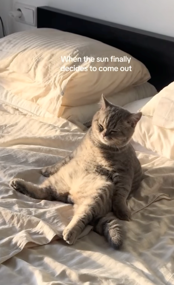 When the sun finally decides to come out