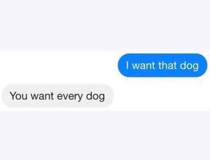 You want every dog I want that dog