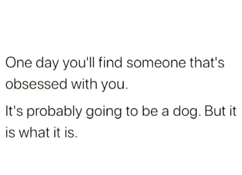 One day you'll find someone that's obsessed with you. It's probably going to be a dog. But it is what it is.