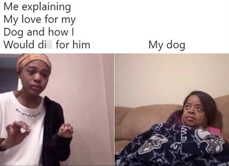 Me explaining My love for my Dog and how I Would di for him My dog MB