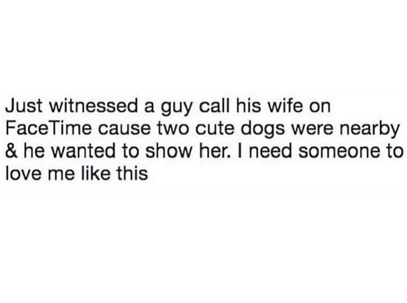 Just witnessed a guy call his wife on FaceTime cause two cute dogs were nearby & he wanted to show her. I need someone to love me like this