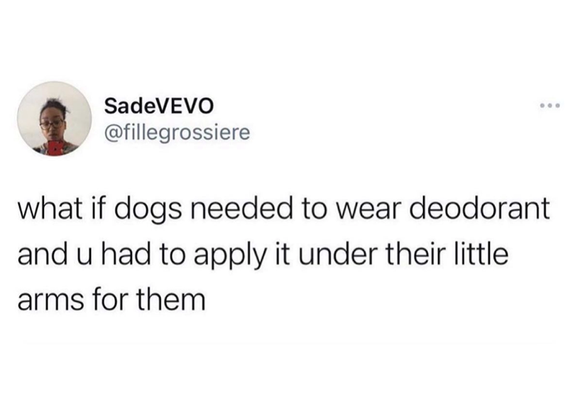 SadeVEVO @fillegrossiere 000 what if dogs needed to wear deodorant and u had to apply it under their little. arms for them