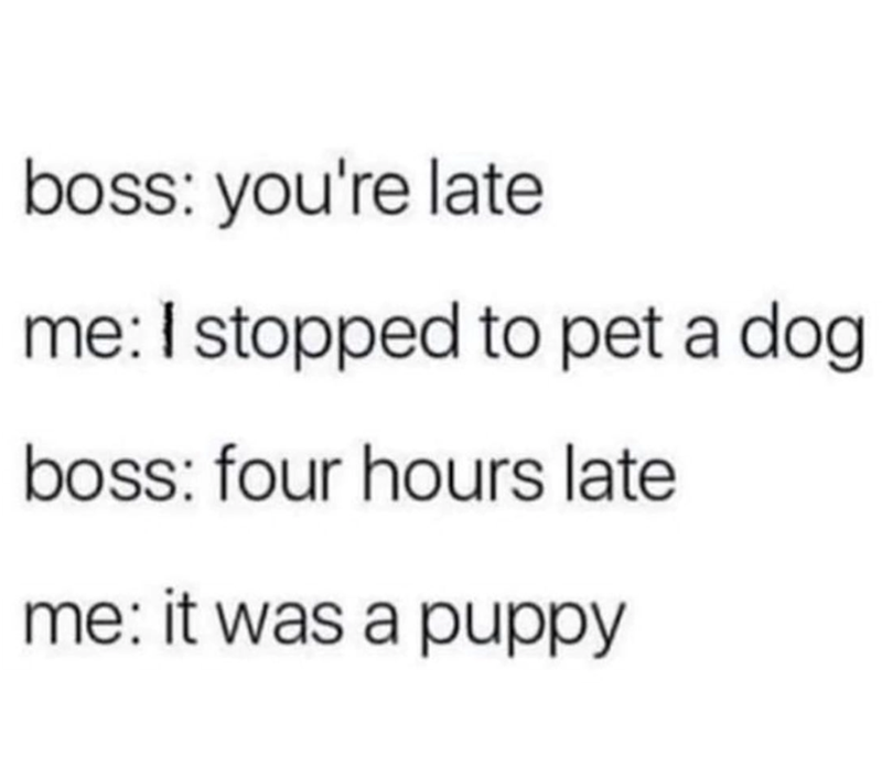 boss: you're late me: I stopped to pet a dog boss: four hours late me: it was a puppy