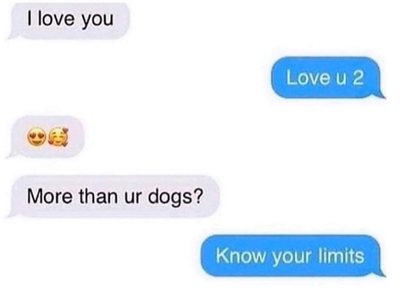 I love you Love u 2 More than ur dogs? Know your limits