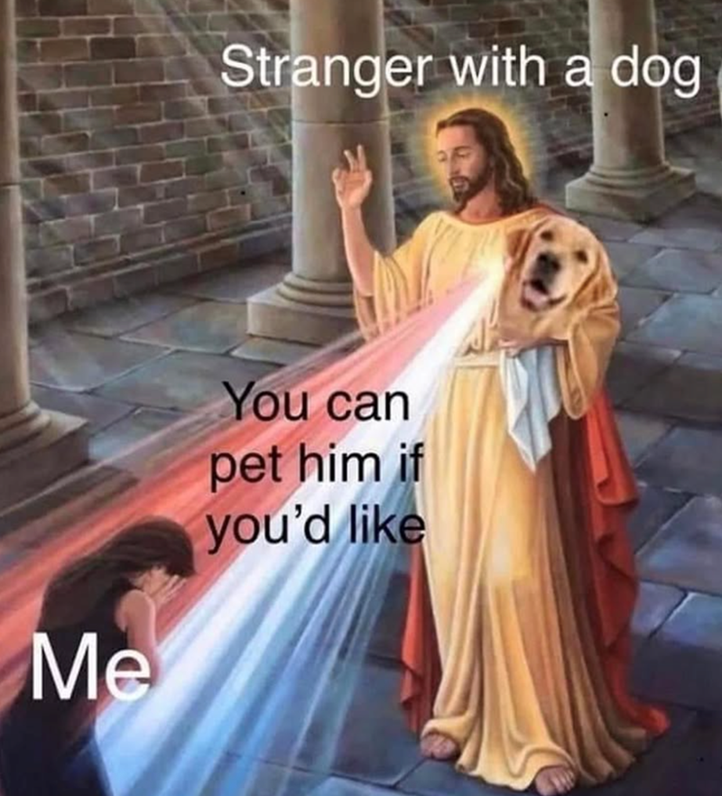 Stranger with a dog Me You can pet him if you'd like